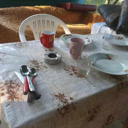 с терасата Lodge *